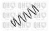 QUINTON HAZELL QCS6120 Coil Spring
